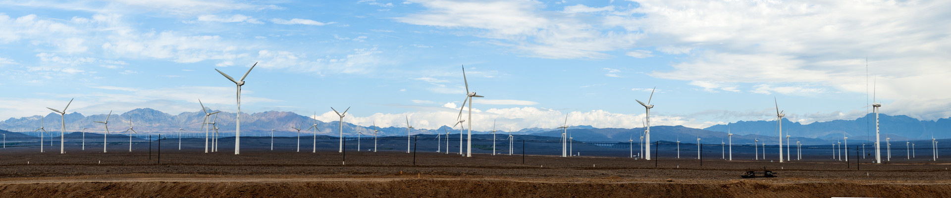 最新動(dòng)態(tài)